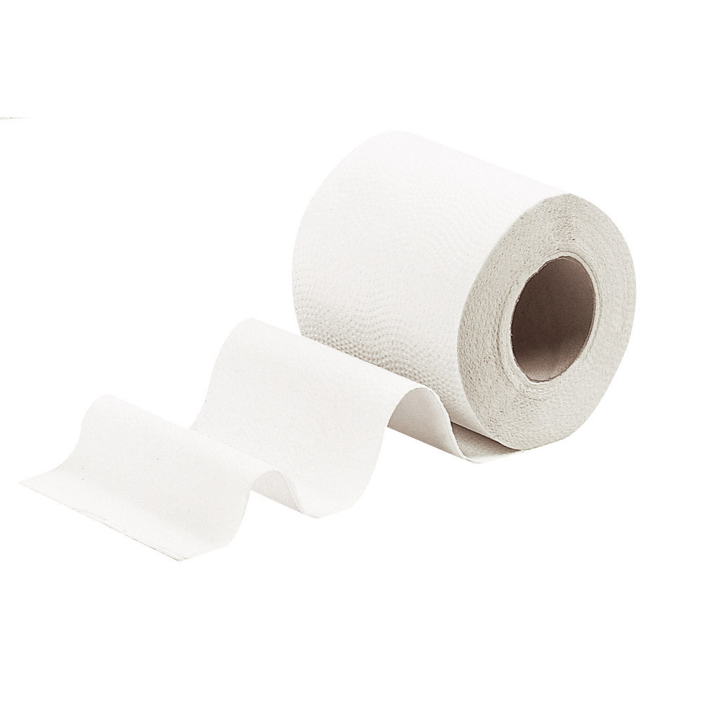 Papier hygienique standard blanc 2plis 200f lot de 96 rouleaux